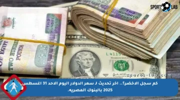 كم سجل الأخضر؟.. آخر تحديث لـ سعر الدولار اليوم الأحد 31 أغسطس 2025 بالبنوك المصرية.